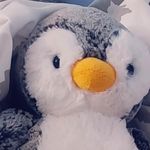 Jerry And Waddles❤️♥️ - @jerry.waddles_ - Instagram