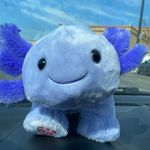 Jerry Waddles The World - @jerrywaddlestheworld - Instagram