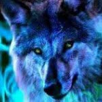 Jerry Wallis - @jpwmmnasc - Instagram
