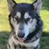 jerrywarden64 - @jerrywarden64 - TikTok