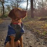 Jerry Webb - @jerry.webb.712 - Instagram