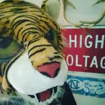 Jerry Weisner - @jerryweisner - Instagram