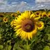 Jerry Wenzel - Facebook