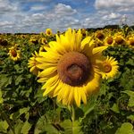 Jerry Wenzel - @wenzel.jerry - Instagram