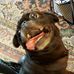Jerry Wenzel Sr. - Facebook
