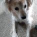 Jerry Wescott - Facebook