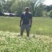 Jerry Wester - Facebook