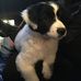 Jerry Wheatley - Facebook