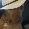 jerryawheatley - @jerryawheatley - TikTok