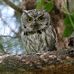 Nature's Best Photography by Jerry Whetstone - Facebook