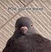 Jerry Whitten - Facebook