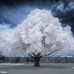 Jerry Whitten - Facebook