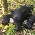 Jerry Wichman - @wichmanjerry - Instagram