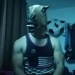 jerry el caballo - @jerry_wild_ - Instagram