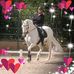 Jerri Wilhite - Facebook
