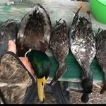 jerry Wilkerson - @jerry.wilkerson334 - Instagram