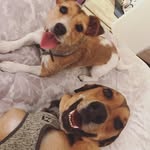 Willow&Jerry - @willow_and_jerry - Instagram