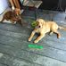Jerry Wimberly - Facebook
