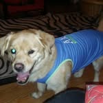 Jerry Wimberly - @jerryleewimberly - Instagram