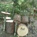 Jerry Windham - Facebook