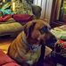 Jerry Windham - Facebook