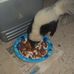 Jerry Wininger - Facebook