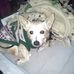 Gerald Winterstein - Facebook