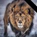 Jerry Wise - Facebook