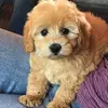 Jerry Witcher963 - @jerrywitcher4 - TikTok