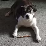 Jerry Witter - @witterjerry - Instagram