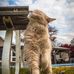 Jerry Wolf - Facebook