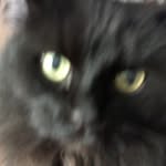 Jerry Wolf - @jerrywolf2925 - Instagram