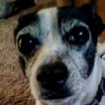 jerry wolfert - @jerrywolfert - Instagram