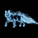 jerrywolf - @jerrywolfgame - Instagram