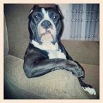 Jerry Woolsey - @jerrywoolsey - Instagram