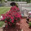 Jerry Wright - @jerry.wright319 - TikTok