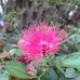 Jerry Yeung - Facebook