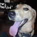 Jerry Younger - Facebook