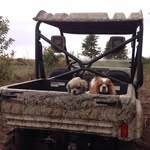 Jerry Younger - @jerryyounger - Instagram