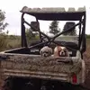 Jerry Younger - @jerry.younger - TikTok