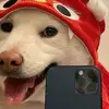 Jerry Yu - @jerry.yu86 - TikTok