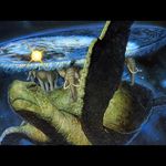 Jerry Zepeda - @turtle__lover2 - Instagram