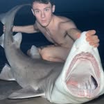 Jersey Shore Sharks - @jersey_shore_sharks - Instagram
