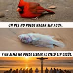 Jerson Castillo - Facebook