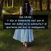 jerusalemabrahamb - @jerusalemabrahamb - TikTok