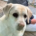 Jervis Lee - @lee_jealt - Instagram