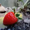 jerlybeachly123 - @jerlybeachly30 - TikTok