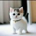Jeryl Smith - Facebook