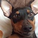Jeryl Smith - @jerylsmith - Instagram