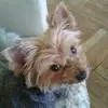 adamjerzy7 - @adamjerzy7 - TikTok